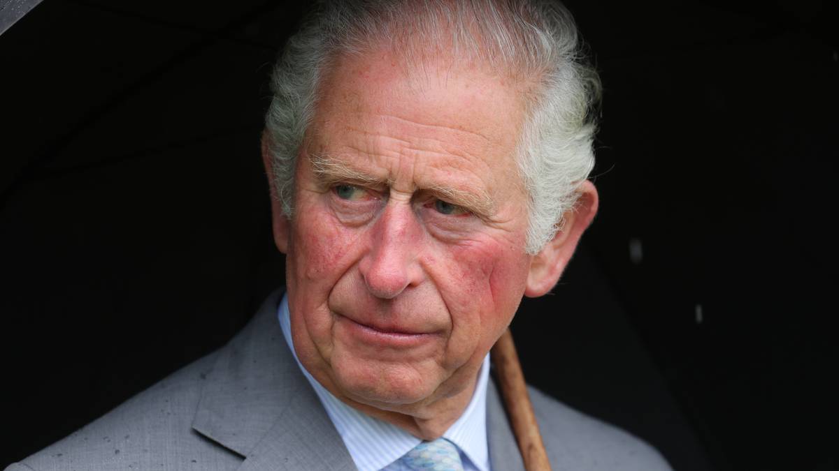 Daniela Elser: Prince Charles ignores Harry's climate change work, heaps praise on William in latest social media post - NZ Herald