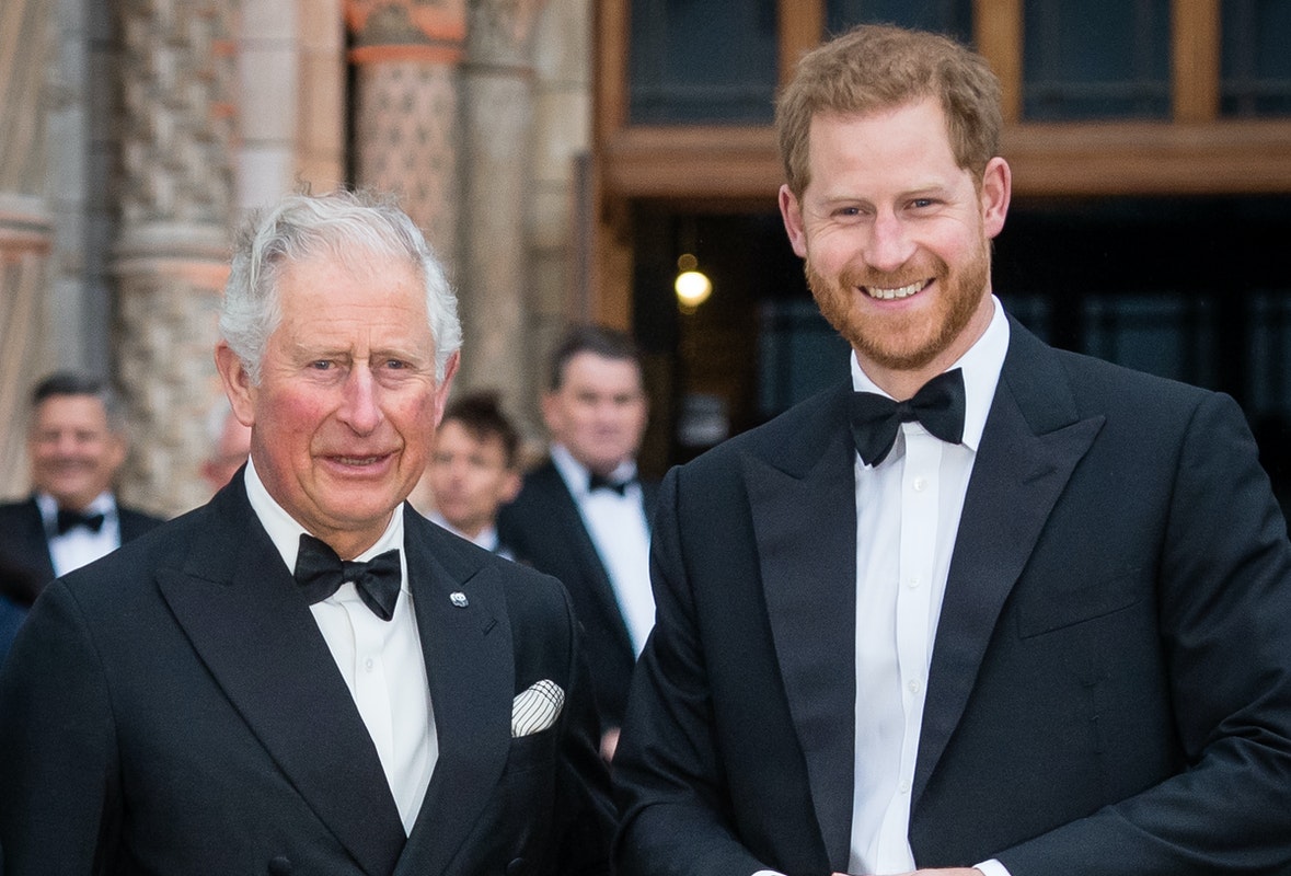 Prince Charles Praises Harry For Climate Change Activism, Says ‘My Sons Have Recognized This Threat’