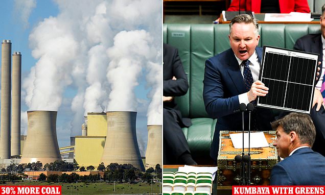 Anthony Albanese calls for coal power stations to come back online in climate change strategy shock | Daily Mail Online