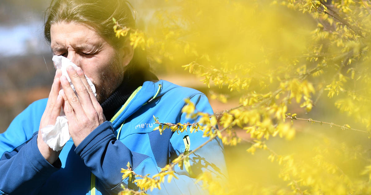 Climate change to make pollen season longer and nastier, scientists say - CBS News