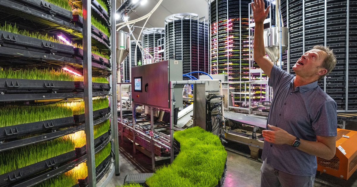 It grows 1,500 times the food with 5% of the water. How a Utah vertical farm combats climate change.