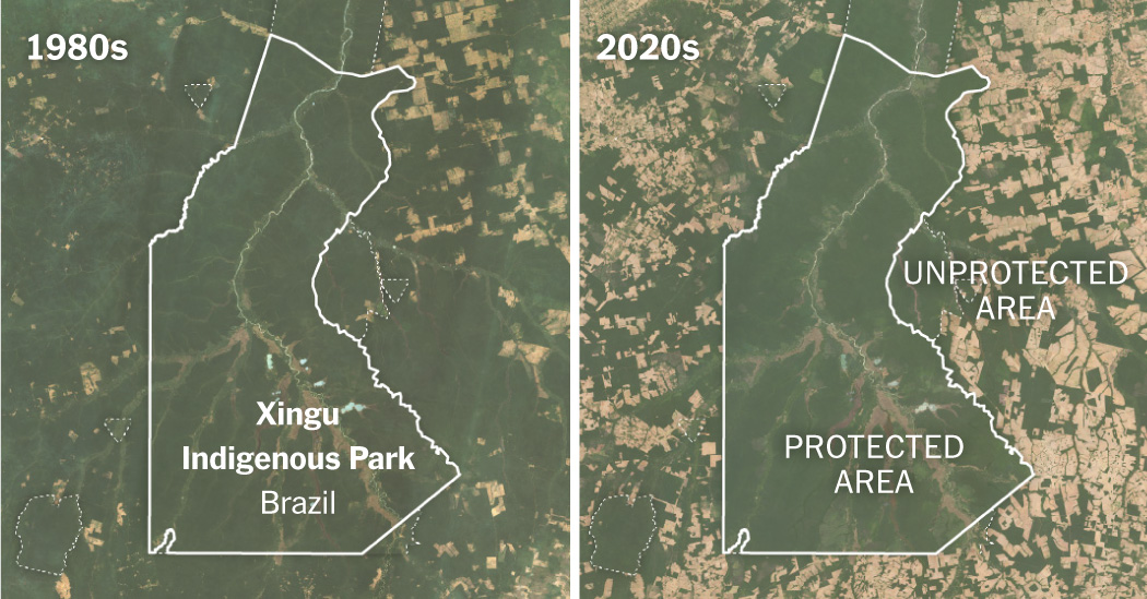 How Much Can Forests Fight Climate Change? A Sensor in Space Has Answers.